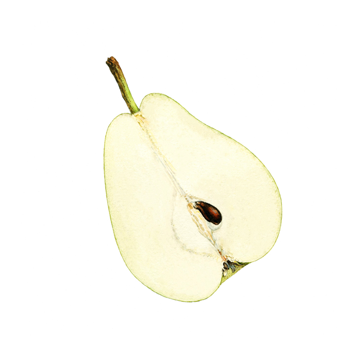Media Embeds & Demo Patterns 7 contentpattern pear half