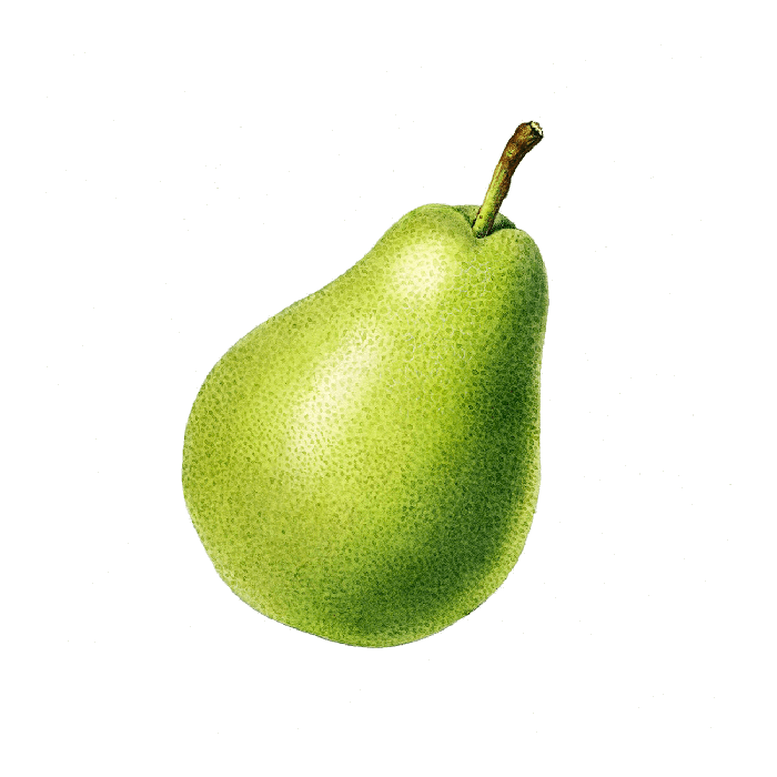Media Embeds & Demo Patterns 6 contentpattern pear